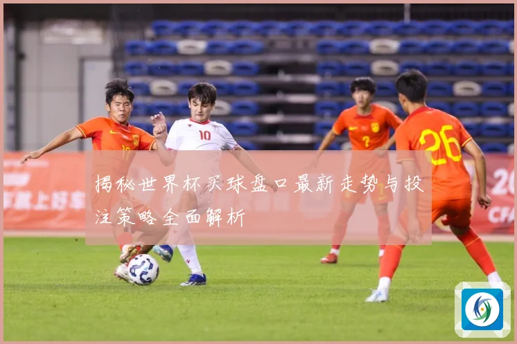 揭秘世界杯买球盘口最新走势与投注策略全面解析