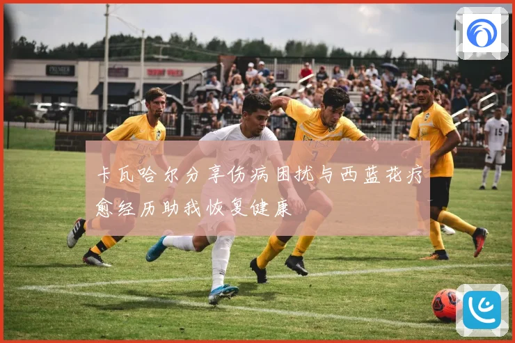 卡瓦哈尔分享伤病困扰与西蓝花疗愈经历助我恢复健康