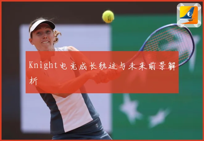 Knight电竞成长轨迹与未来前景解析